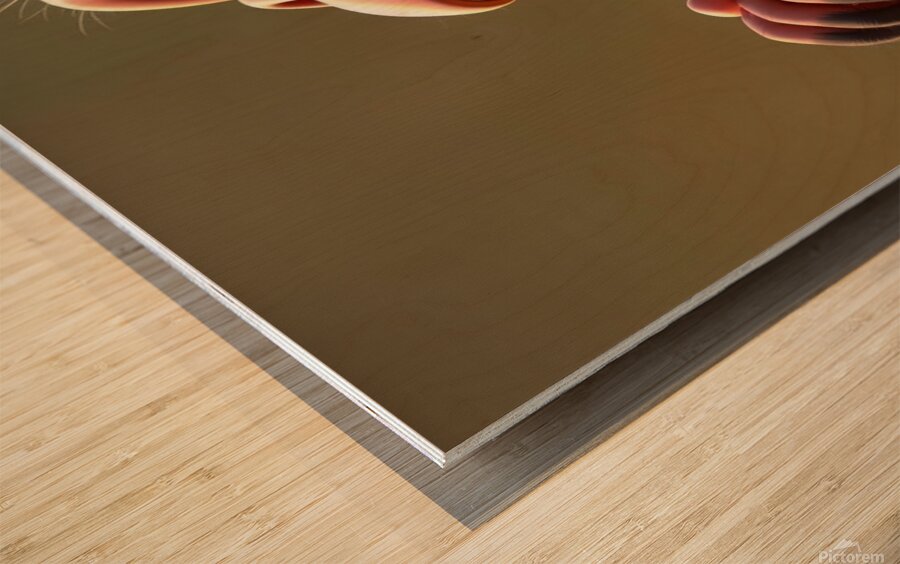 The Laughing Chimpanzee Wood print