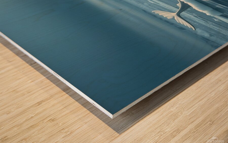 Narwhal’s Unicorn Moment Wood print