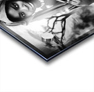 africa 2 Acrylic print