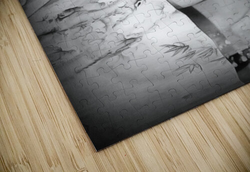 asia 1 Alain Beaudouard puzzle