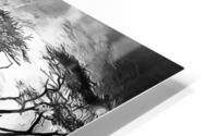 africa 2 HD Metal print