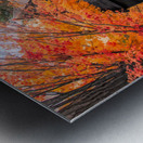 Seasons of Mystery: The Enigmatic Charm of Salems Witch House Metal print