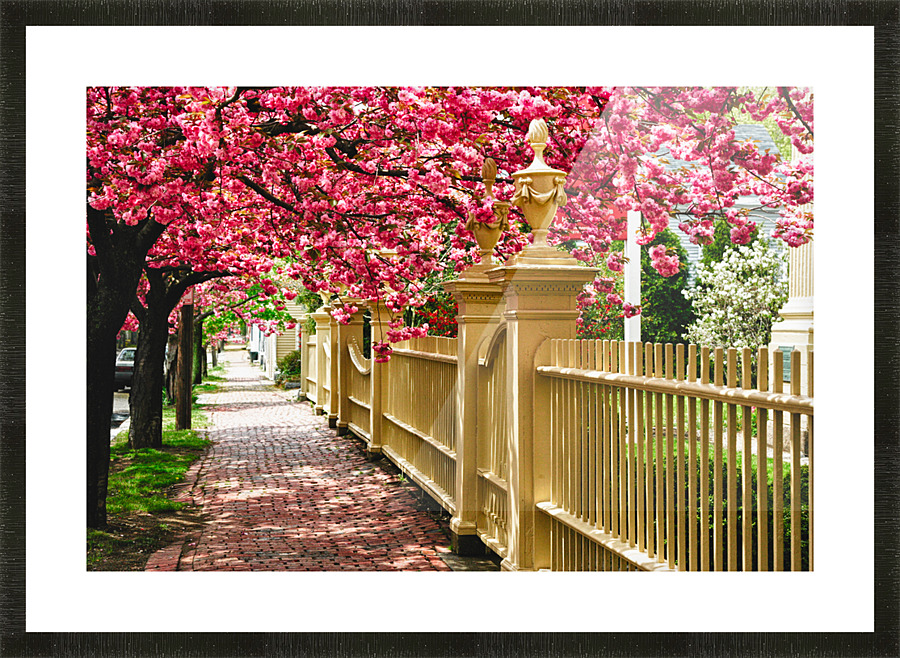 Perfect time for a spring walk Picture Frame print