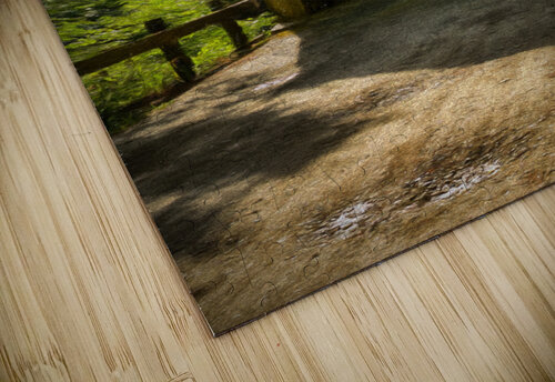 Blow Me Down Covered Bridge Jeff Folger puzzle