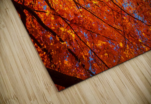 Autumn on Fire Overhead Jeff Folger puzzle