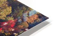 Pond reflection HD Metal print
