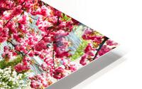 Perfect time for a spring walk HD Metal print