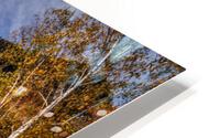 Evans Notch towards Beans Purchase HD Metal print