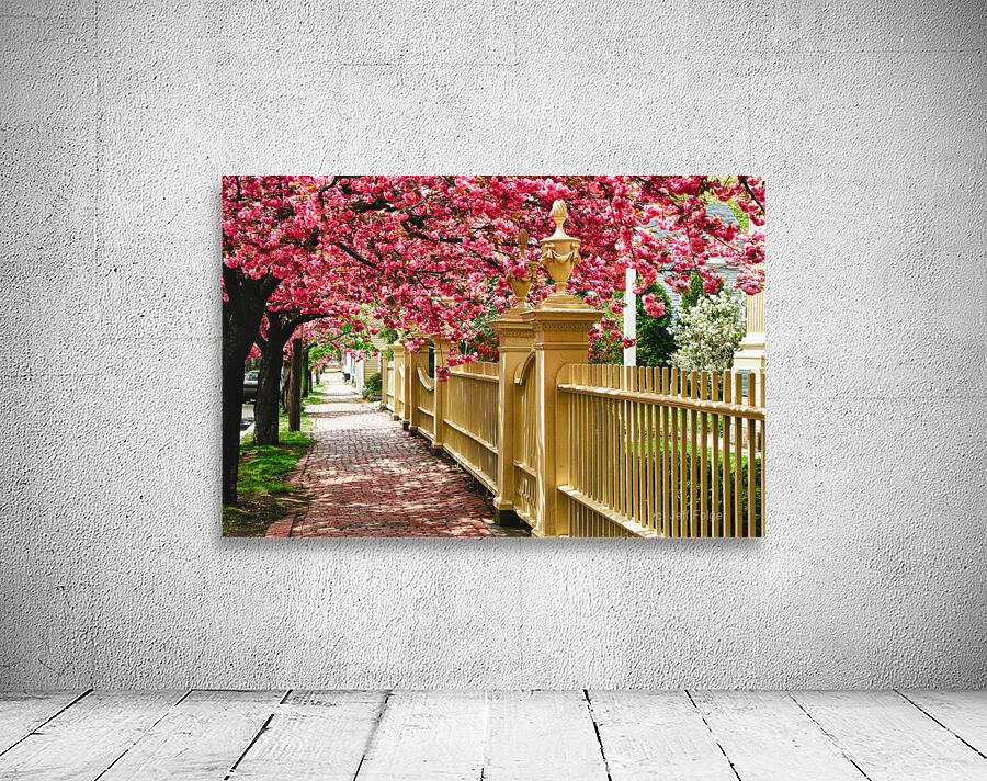 Perfect time for a spring walk Wall Preview