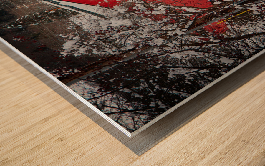 Taftsville covered Bridge VT in Winter Wood print