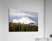 Mt. Shasta Glory Acrylic Print