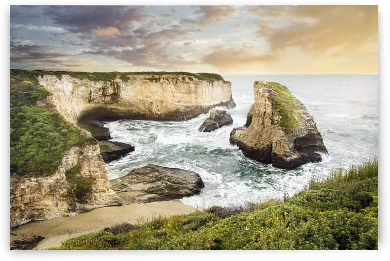 Shark Fin Cove by Gary Geddes