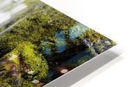 Silky Waterfall HD Metal print