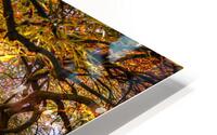 DSC 8767 Edit 5 HD Metal print