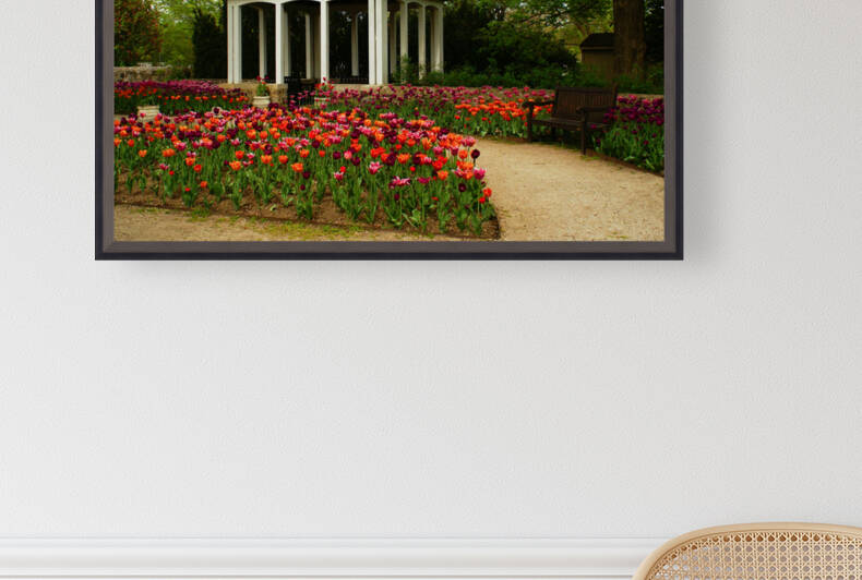 Garden View  by Deb Beausoleil