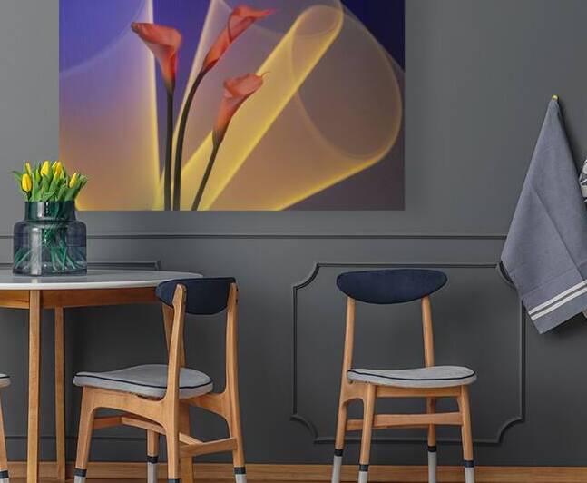 Calla Lily Wall Art Sale Online - Calla Lily Light Drawing Photography by Trix Rosen by Trix Rosen Photography