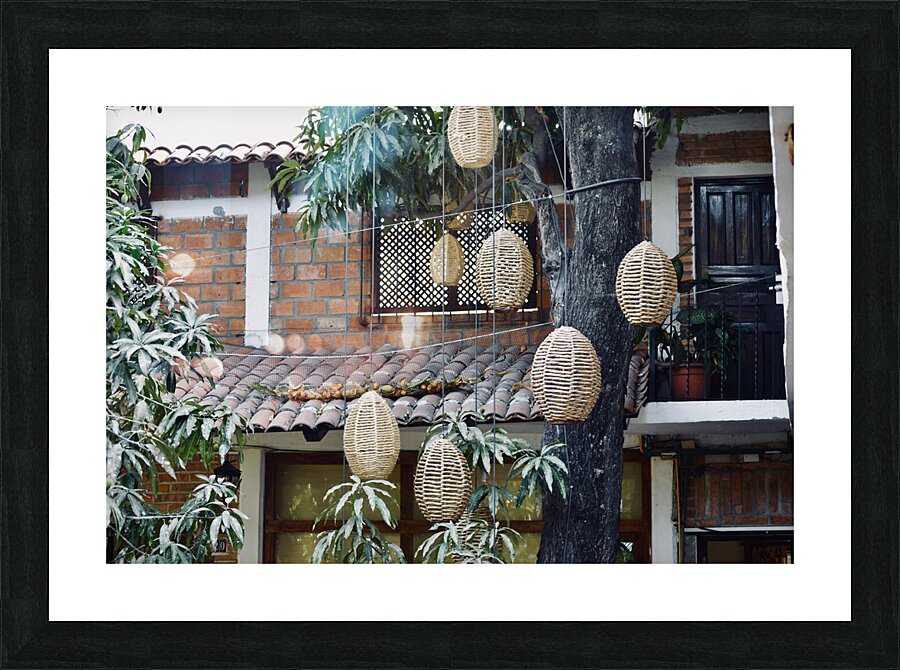 DSC 0670 Picture Frame print