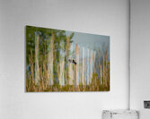 Scoping my next move Acrylic Print