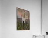 Hanging around at home Acrylic Print