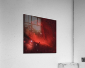 Horsehead Nebula Acrylic Print