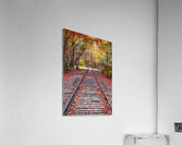 Tracks into fall Acrylic Print