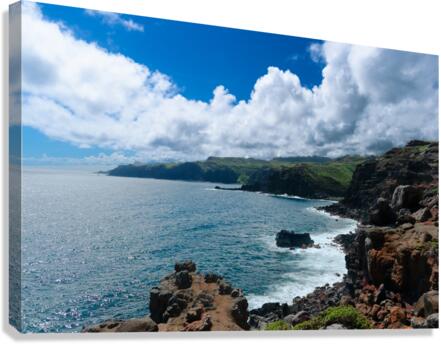 Land Meets Ocean Canvas Print