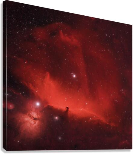 Horsehead Nebula Canvas Print