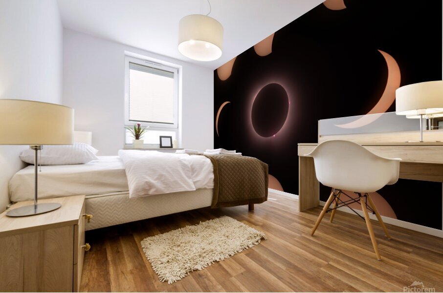 Partial Phases of the Eclipse Mural print