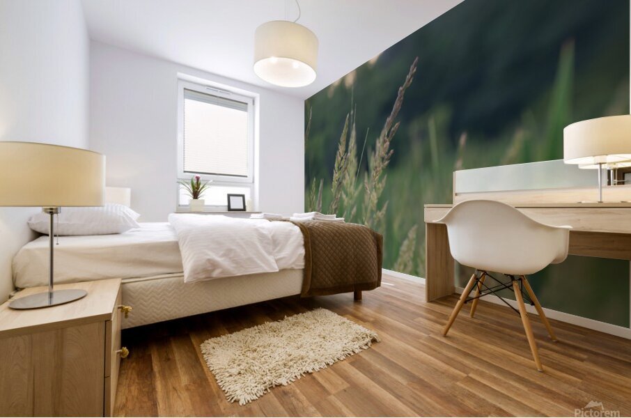 Spring time reeds Mural print