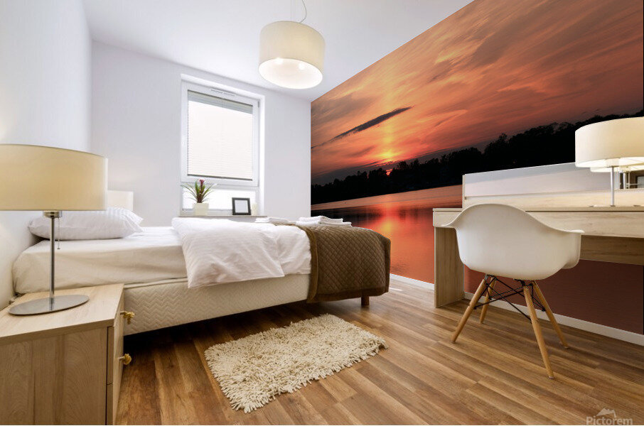 Solar Eclipse Landscape Mural print