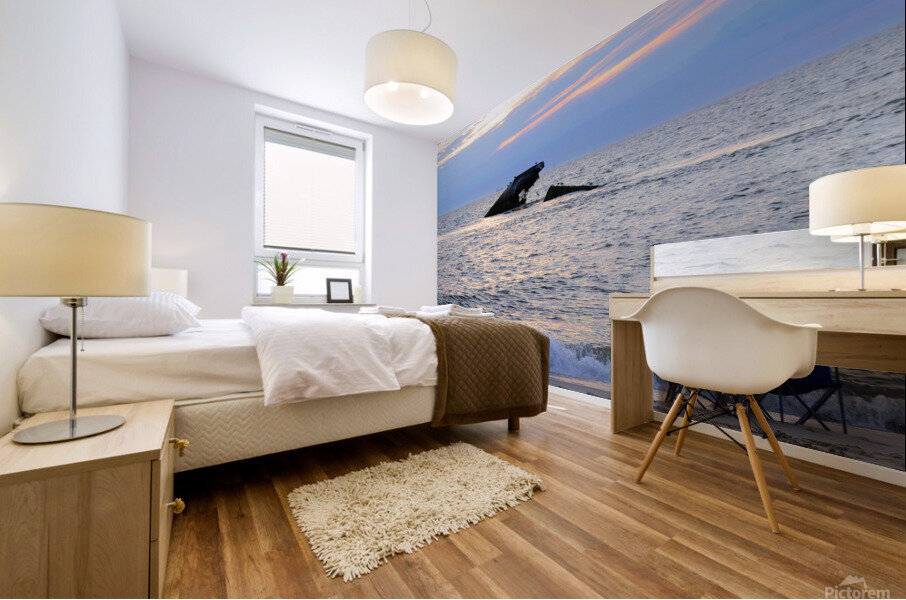 Watching Over Sunset Beach Mural print