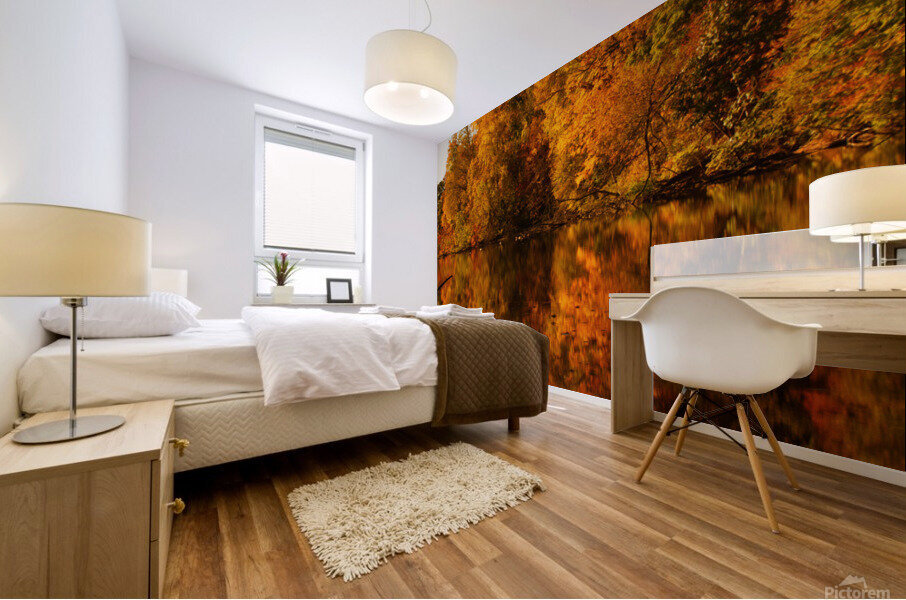 Fall Reflections Mural print