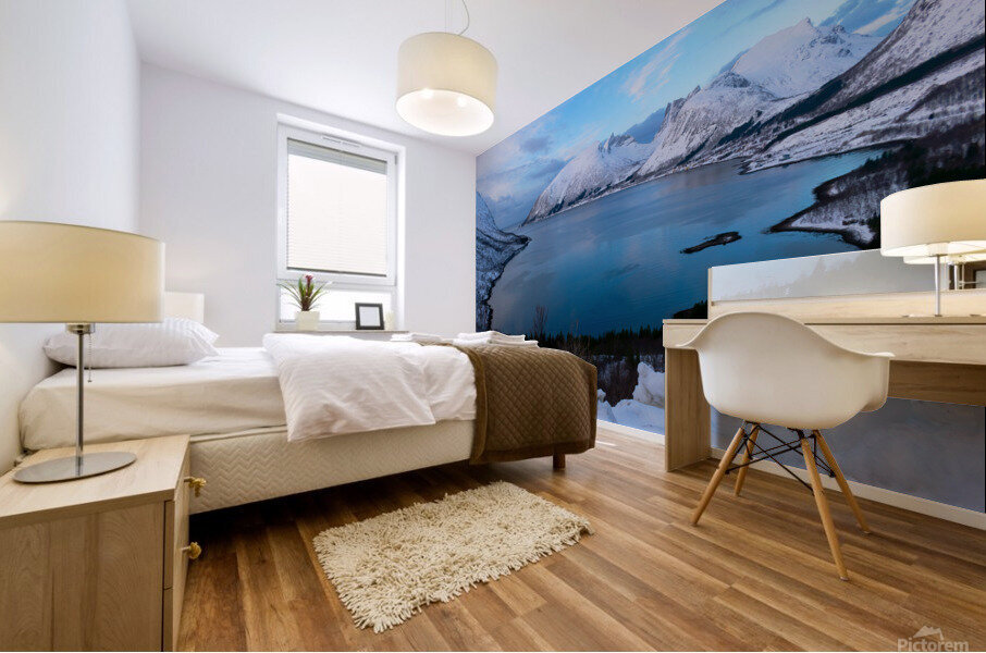 Overlook scenery Mural print