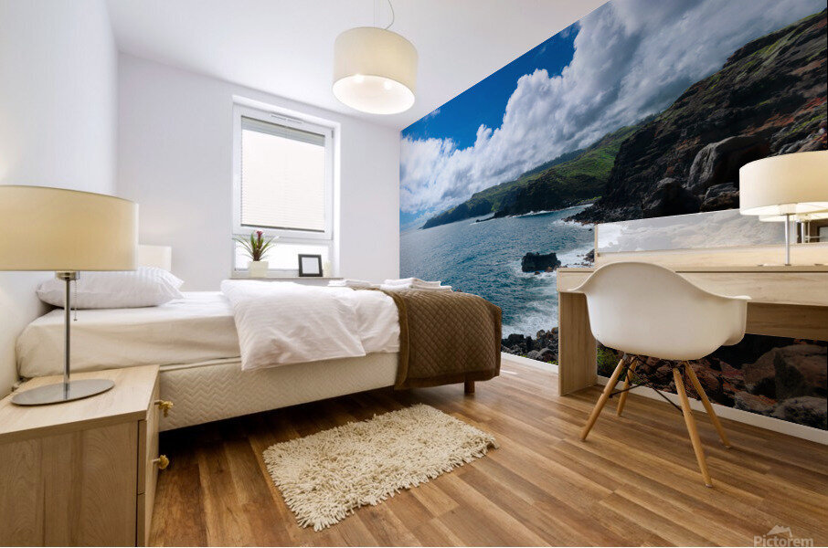 Land Meets Ocean Mural print