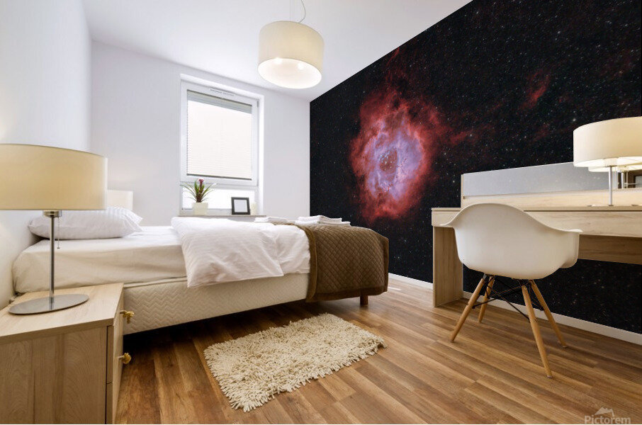 Rosette Nebula Mural print