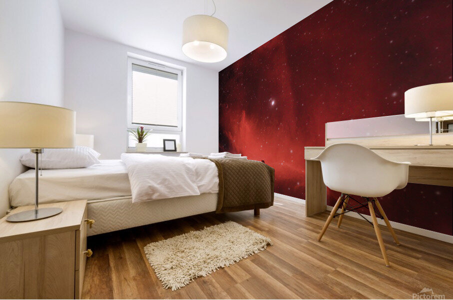 Horsehead Nebula Mural print