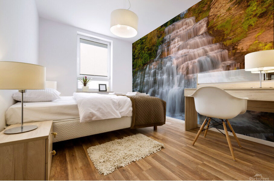 Hector falls landscape Mural print