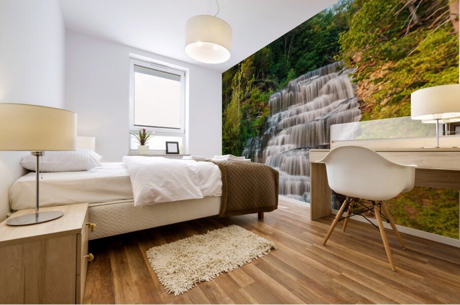 Hector falls landscape Mural print