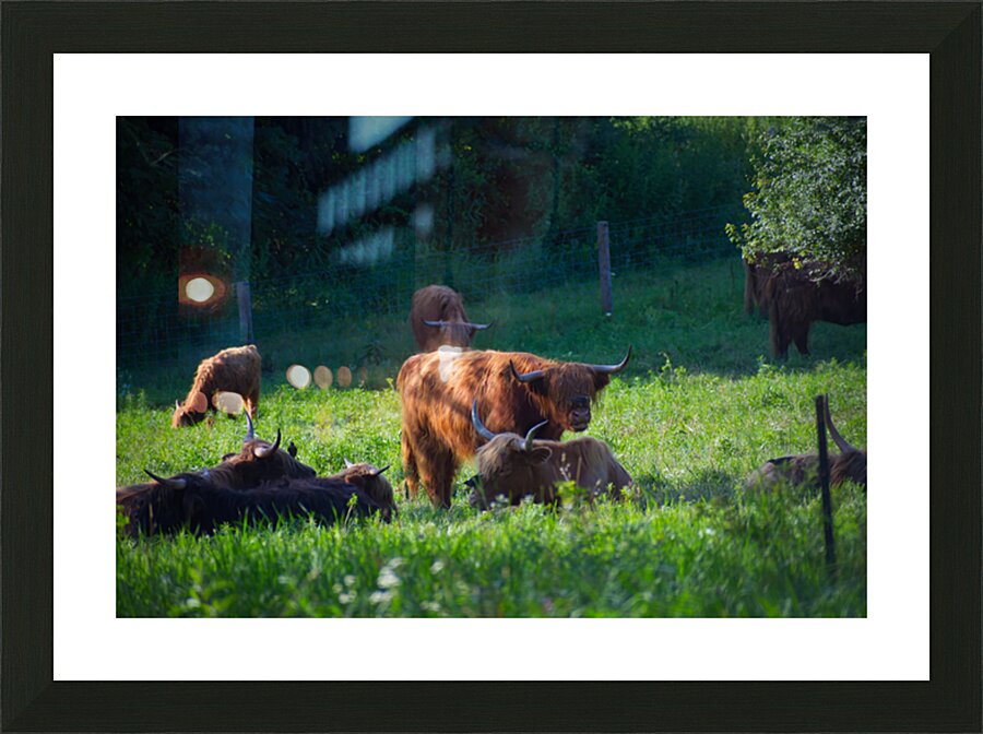 Fine Art print
