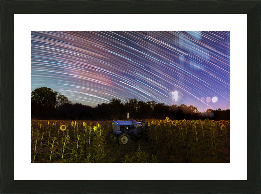  Fine Art print