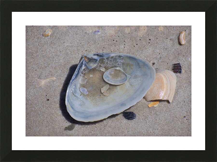  Fine Art print