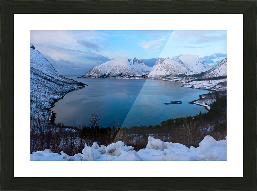  Fine Art print