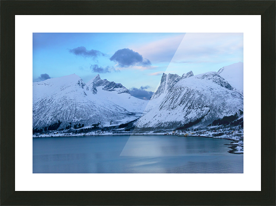  Fine Art print