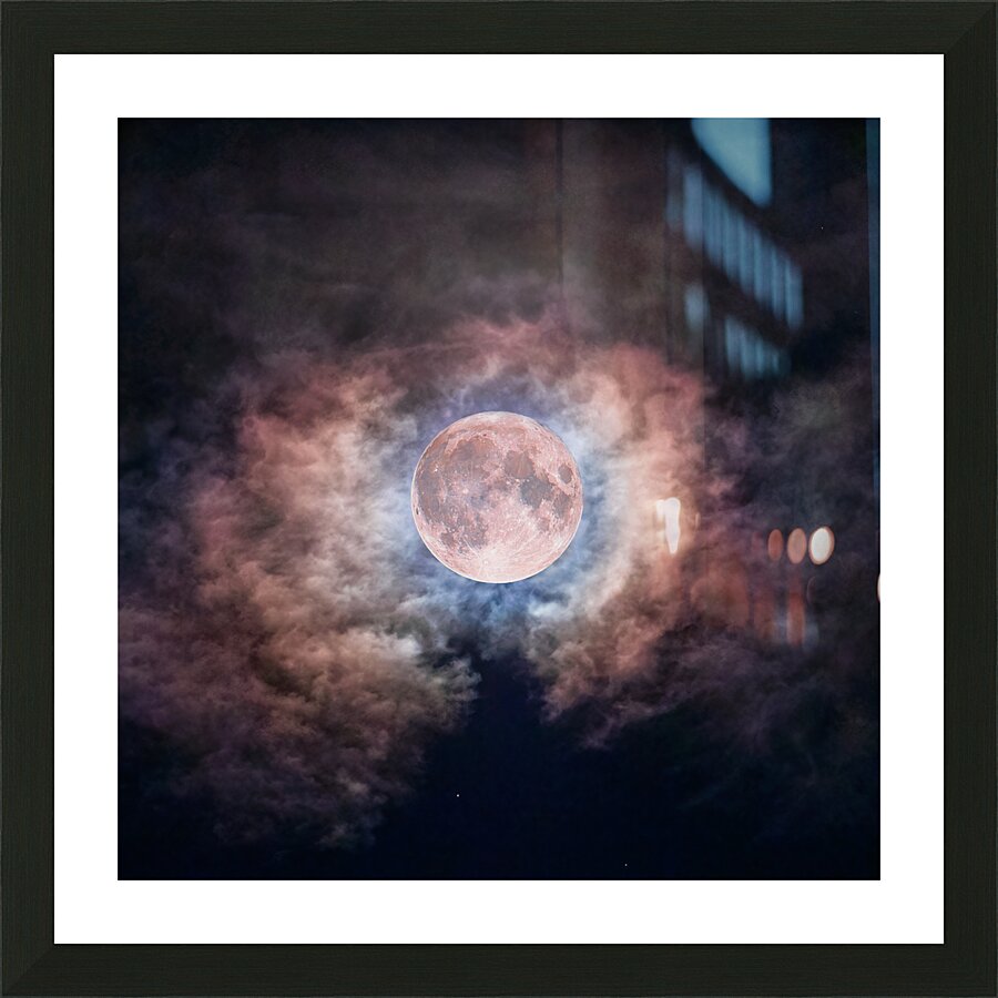  Fine Art print