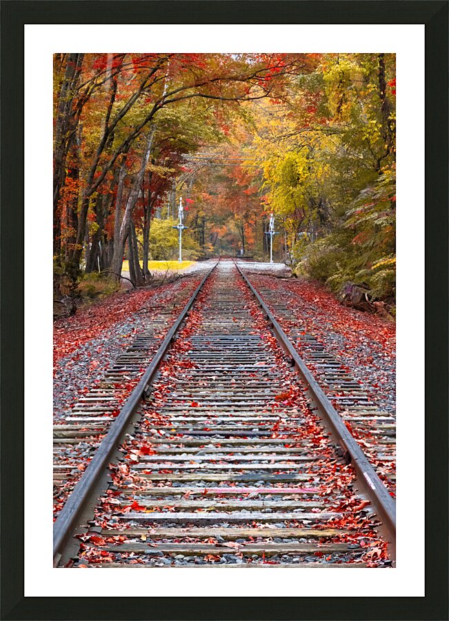  Fine Art print