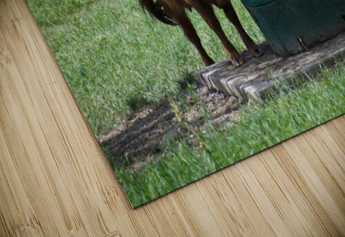 Lunch time KajanCollective puzzle