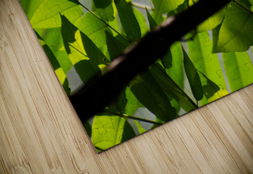 Glowing leaves KajanCollective puzzle