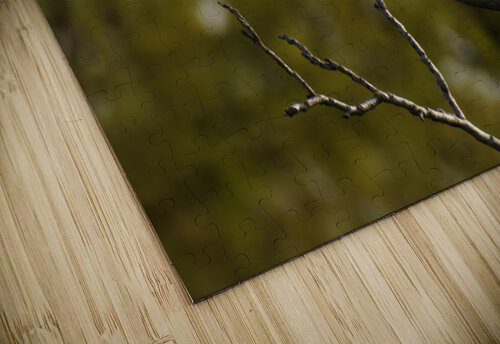 Invaded privacy KajanCollective puzzle