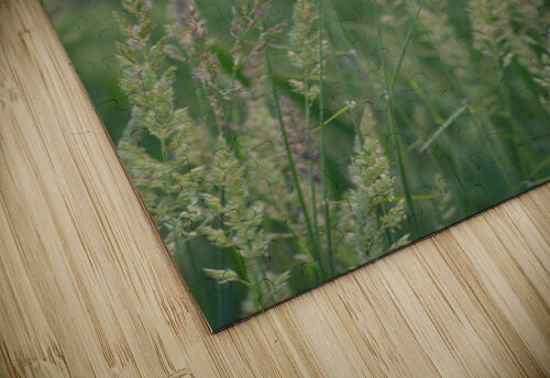 Spring time reeds KajanCollective puzzle
