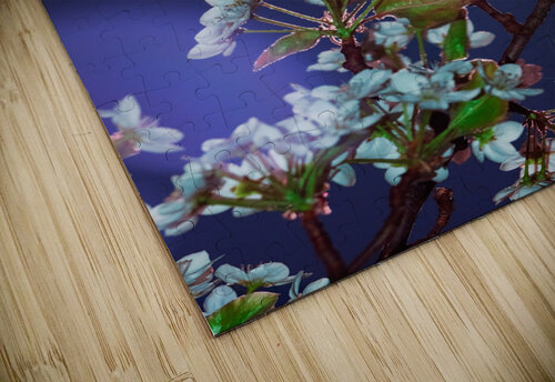 A Springtime Bloom and Shine KajanCollective puzzle